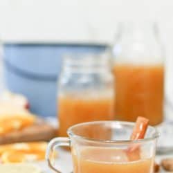 Instant Pot Easy Wassail