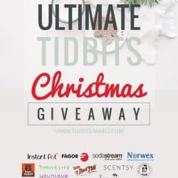 Ultimate TIDBITS Christmas Giveaway plus an Opportunity to Give