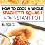 Spaghetti Squash cut in half
