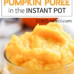 pumpkin puree in a bowl
