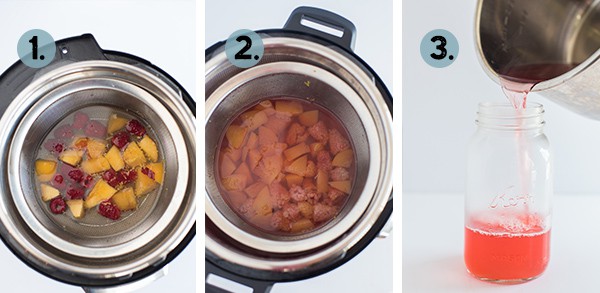 Step by step collage of how to make infused water in the instant pot pressure cooker