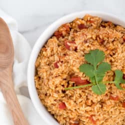 Instant Pot Mexican Brown Rice