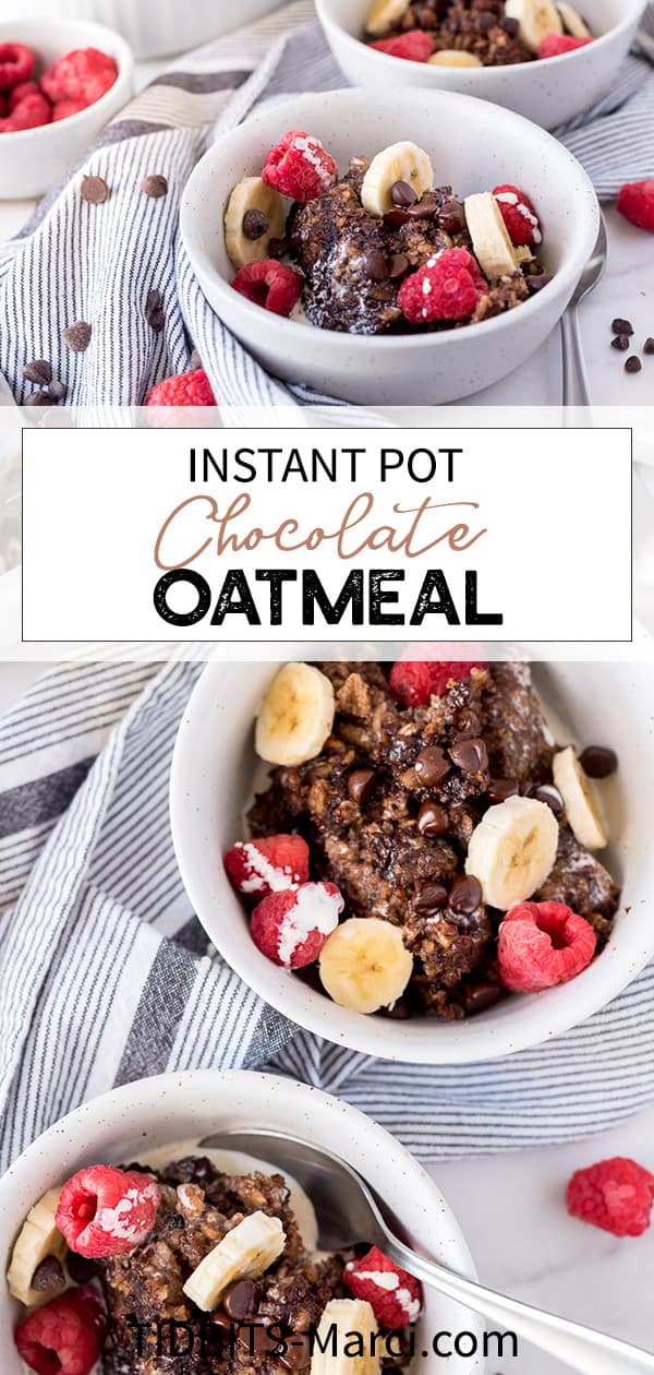 Instant Pot Chocolate Oatmeal Healthy! InstaFresh Meals