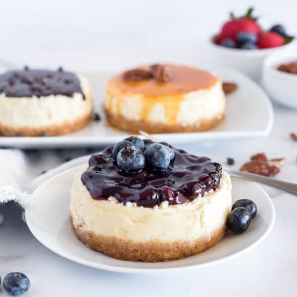 mini cheesecakes with blueberry, chocolate and caramel pecan toppings