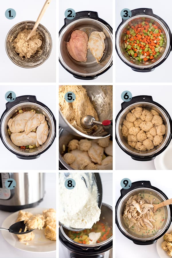 How to make instant pot chicken dumpling soup