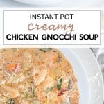 Chicken and gnocchi soup in a white bowl