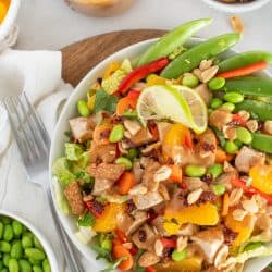 Asian Chicken Salad | Instant Pot Recipe