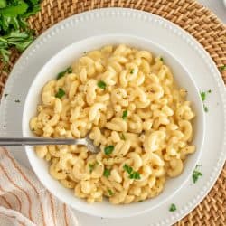 Kid Friendly Mac and Cheese | Instant Pot Recipe