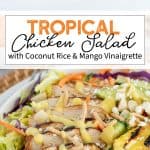 Chicken Salad with cabbage, carrots, pineapple, and mango dressing in a white bowl